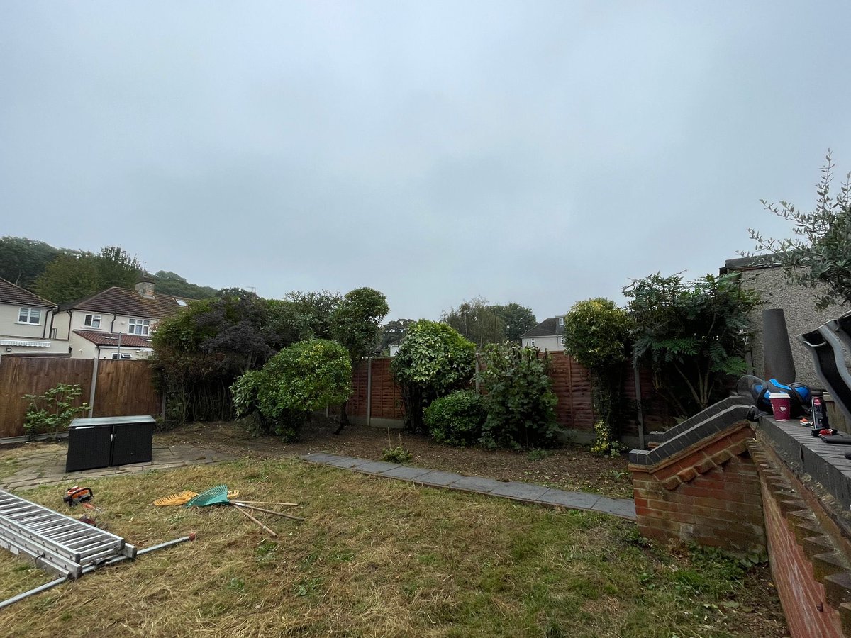 Before and after of today’s visit to one of our clients. 

All hedges and shrubs reduced in height and shape to the clients specification.

Main goal here was to keep the “screening” to avoid overlooking their neighbours whilst keeping established and well maintained shrubs/trees