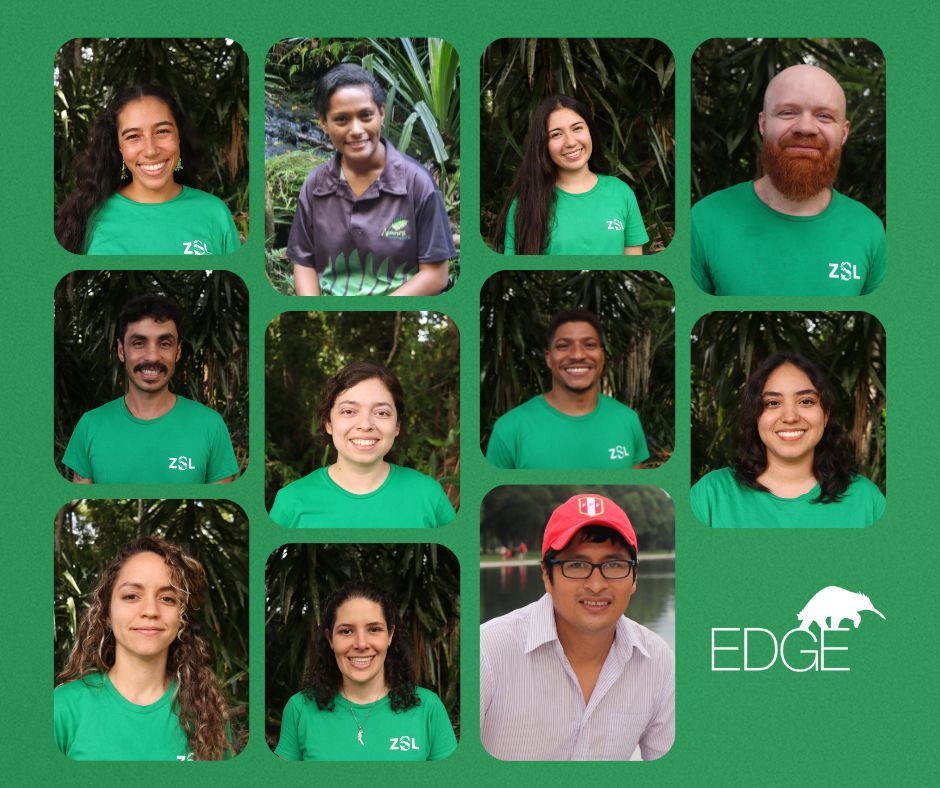 We hope you enjoyed meeting the new 2024 Latin America cohort of EDGE Fellows. We look forward to sharing their stories with you over the next two years! 

We would like to thank our donors and partners, Fondation Segré, On The Edge, and Fondation Franklinia.

#EDGEFellowship2024