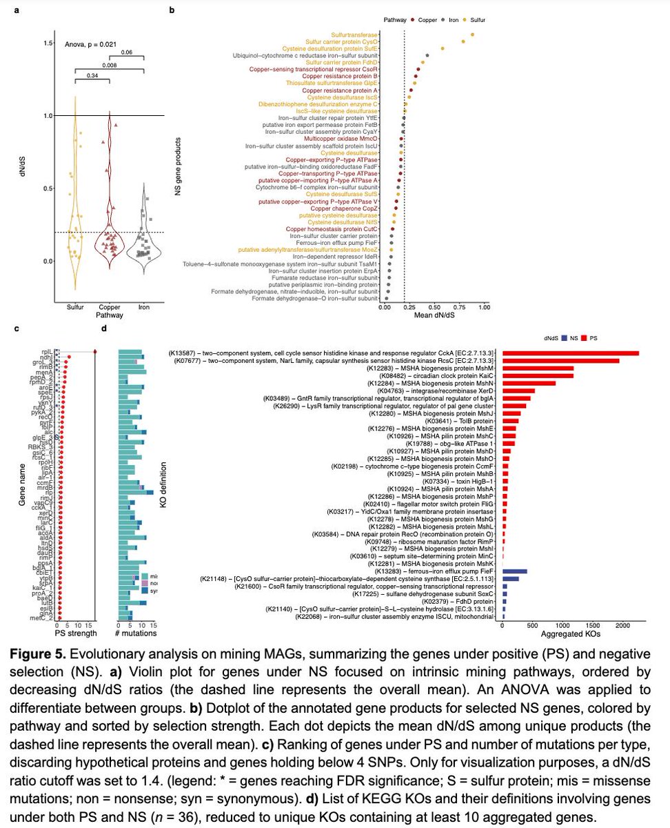 Profiling extremophile bacterial communities recovered from a mining tailing against soil ecosystems through comparative genome-resolved metagenomics and evolutionary analysis biorxiv.org/content/10.110… using a #Nextflow pipeline at github.com/artic-network/… 🧬🖥️