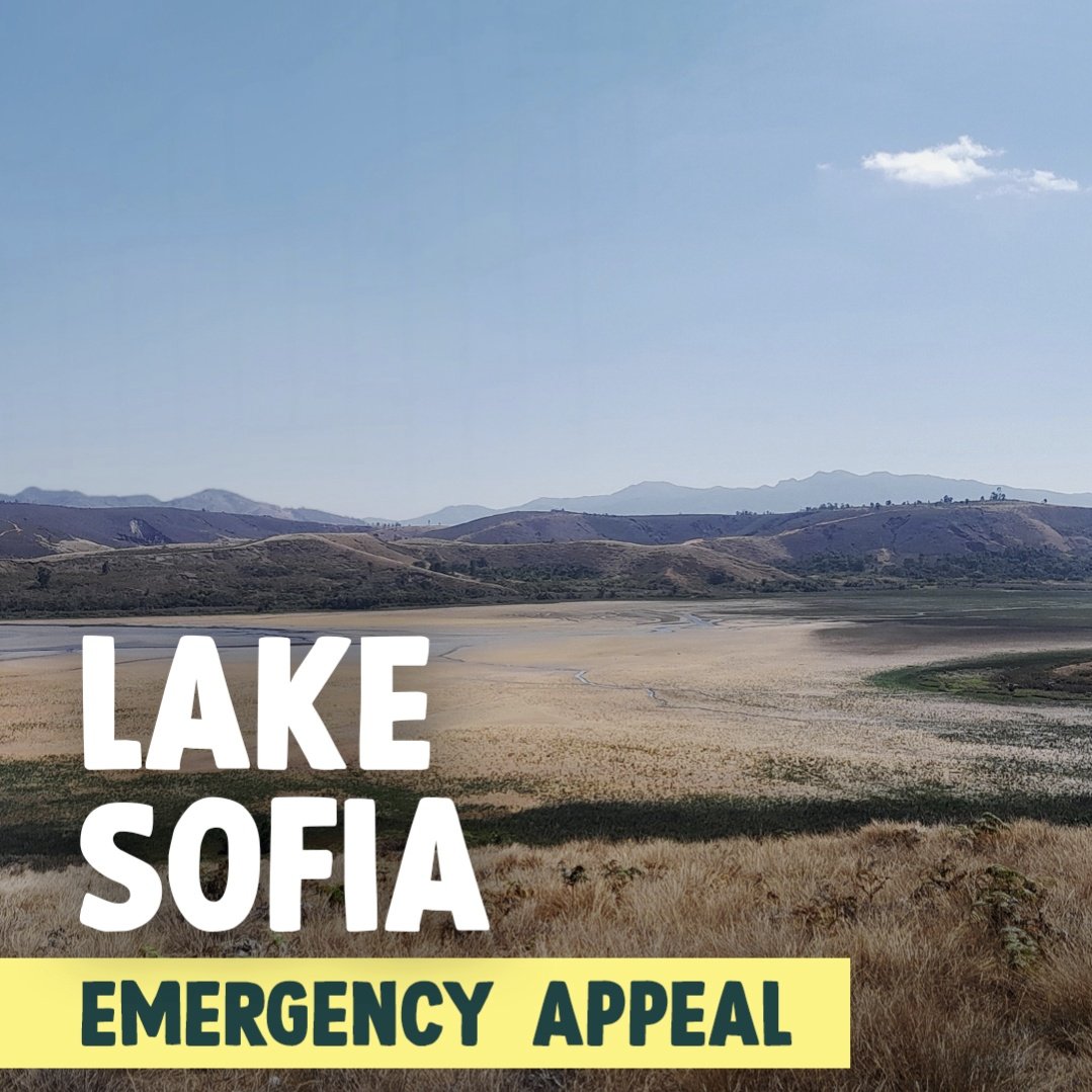 📢 URGENT! Lake Sofia in Madagascar is on the brink of collapse 📢

But with your help, we can build a community dam to protect the people and nature that depend on this vital wetland.

🤲🏻 Every second counts. Donate today:
wwt.org.uk/join-and-suppo…