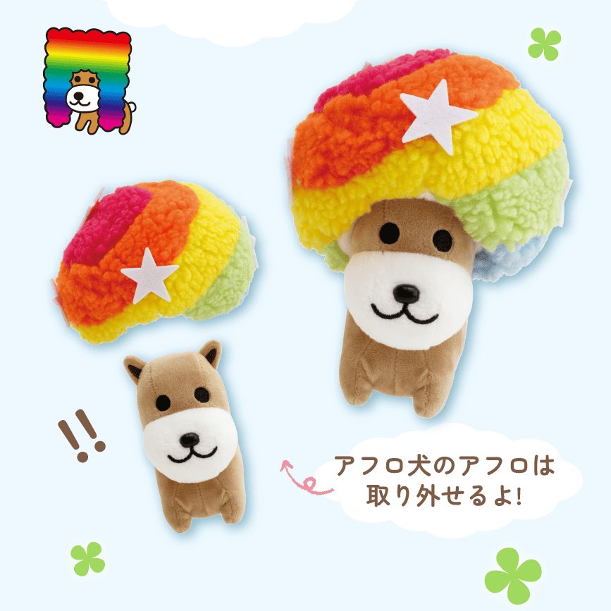 アフロを取り外されて驚く犬