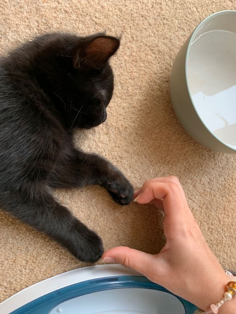 Малышка снова очаровательно спит.