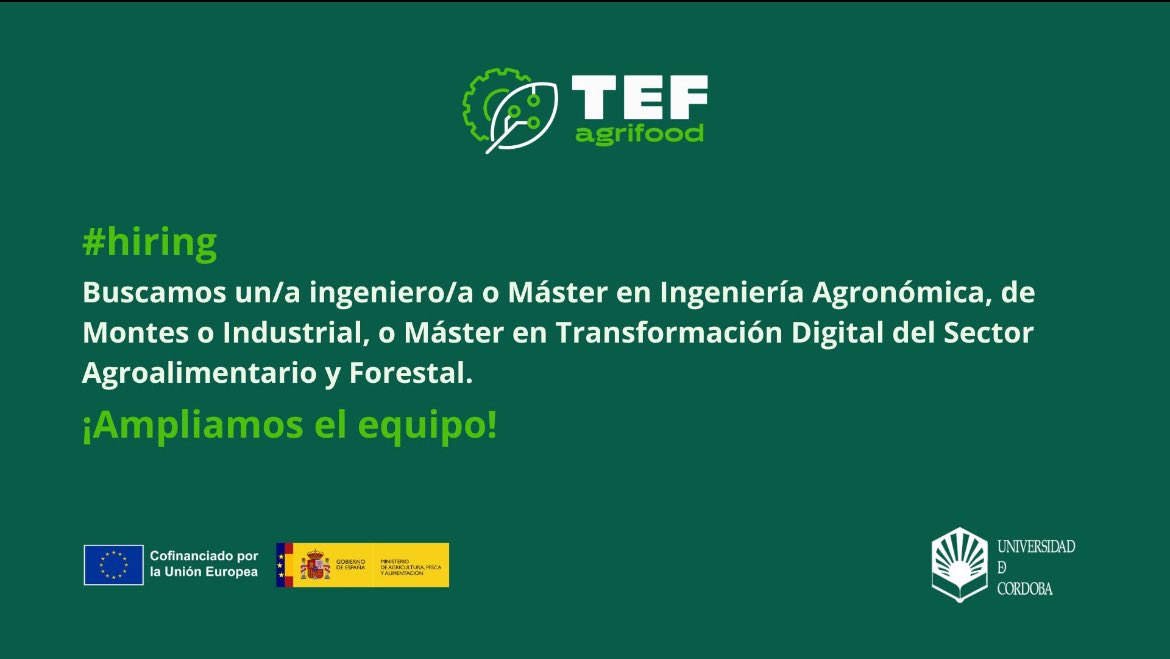 🗣️#Ofertadeempleo #hiring
<a href="/AgrifoodTEF/">AgrifoodTEF</a> #Córdoba  is looking for an engineer with a degree or master's in Agricultural Engineering, Forestry, Industrial Engineering, or a master's in Digital Transformation in the Agri-Food and Forestry Sector.

More info: 
uco.es/investigacion/…