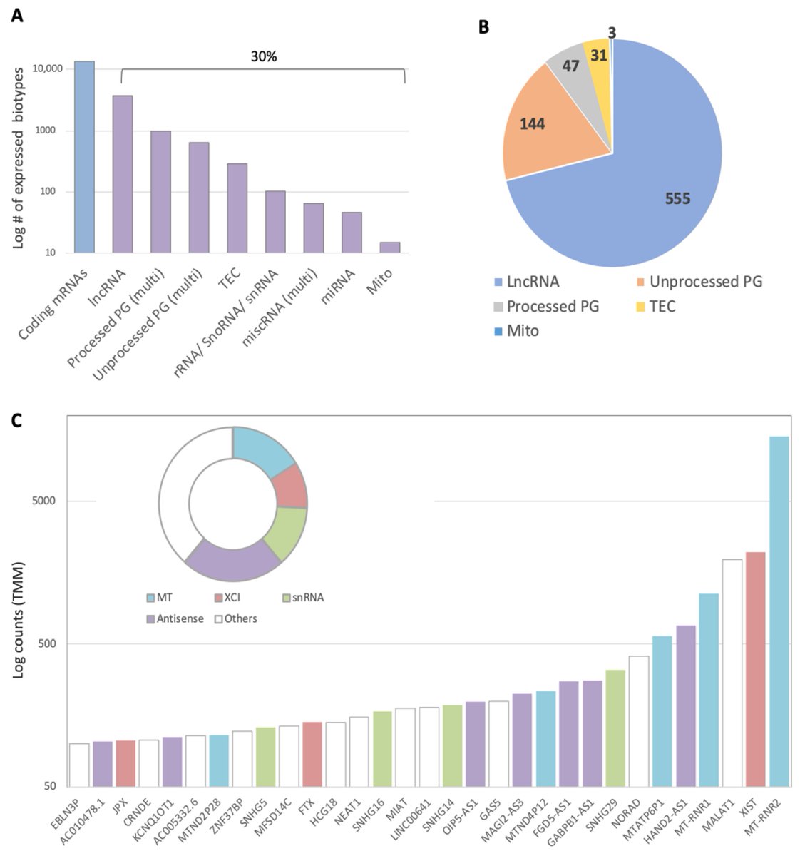 Non_Coding_RNA's tweet image. 🌟Presenting Our Article Paper🌟

"Oxidative Stress and Its Modulation by Ladostigil Alter the Expression of Abundant Long Non-Coding #RNAs in SH-SY5Y #Cells" from Keren Zohar et al.
#ncrnamdpi #lncRNAs #ceRNA @HebrewU @MDPIOpenAccess 

Full text: mdpi.com/2311-553X/8/6/…