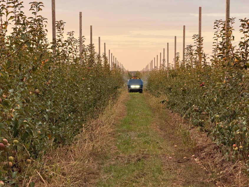 LanjiangTech's tweet image. At sunset and through the night, it's always the knight on duty.
#S1000 #LJTech #SmartAgriculture #agriculturalsprayer #futurefarming #AgriAuto