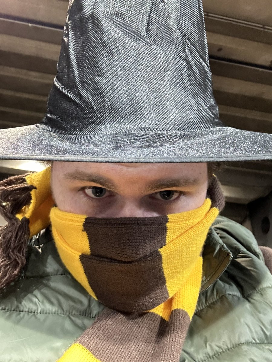 Leo_Puglisi6's tweet image. wizard hats out for watson! #AFLDogsHawks