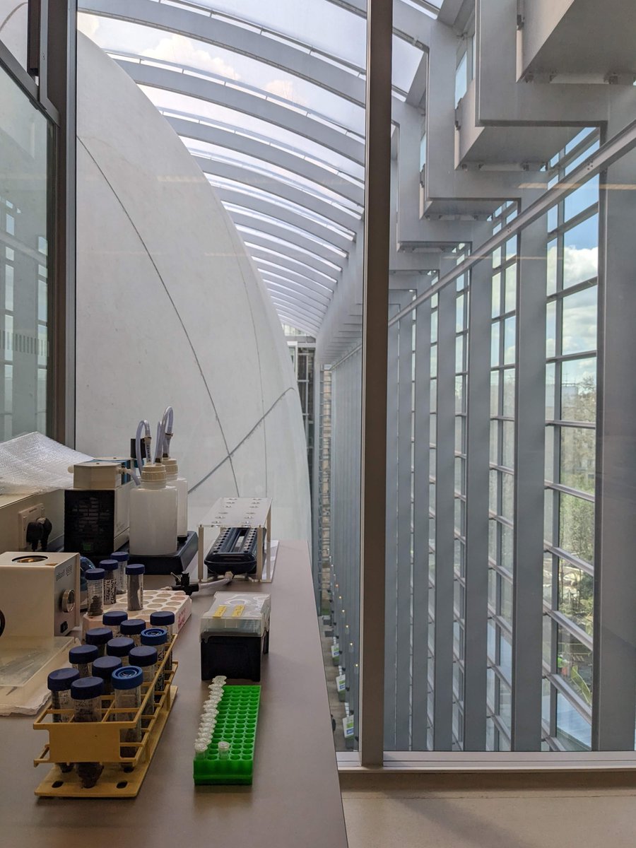 Pleased to share I submitted my PhD thesis earlier this week!! Grateful for all the support along the way, it has been a busy 4 years! <a href="/NHM_Science/">Science at the Natural History Museum</a> <a href="/NHM_Students/">NHM_Students</a> <a href="/GW4plusDTP/">NERC GW4+ Doctoral Training Partnership</a> <a href="/UniofBath/">University of Bath</a> <a href="/MilnerCentre/">Milner Centre for Evolution</a>