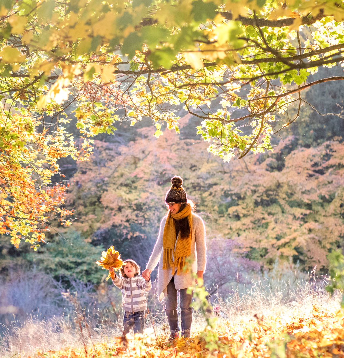 Forestry England says the higher-than-average rainfall this year, particularly in the spring, has led to lush growth in the nation’s forests. These leaves, now full of sugars, could result in a spectacular autumn display. visitkeswick.com/whats-on/news/…