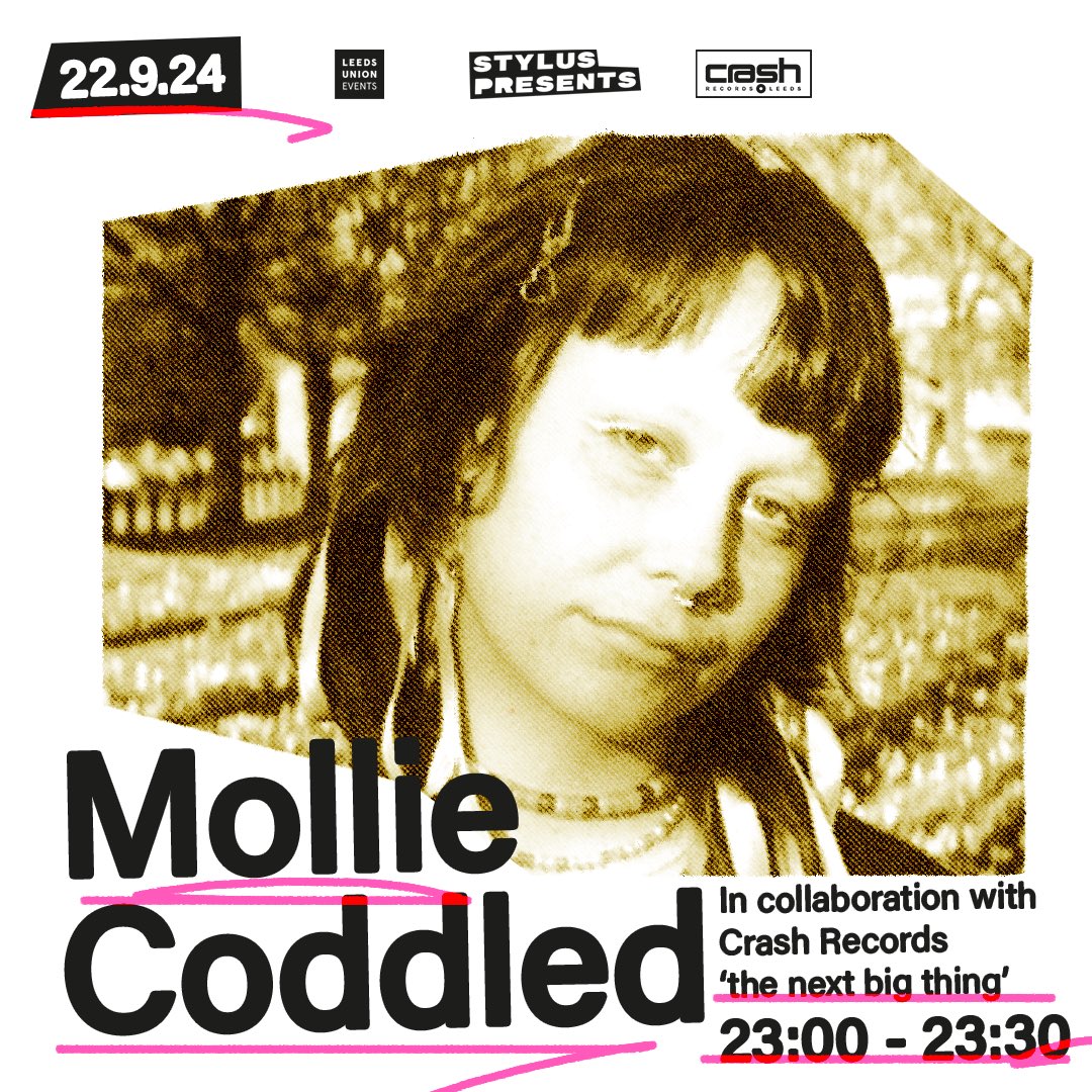 Mollie Coddled tweet media