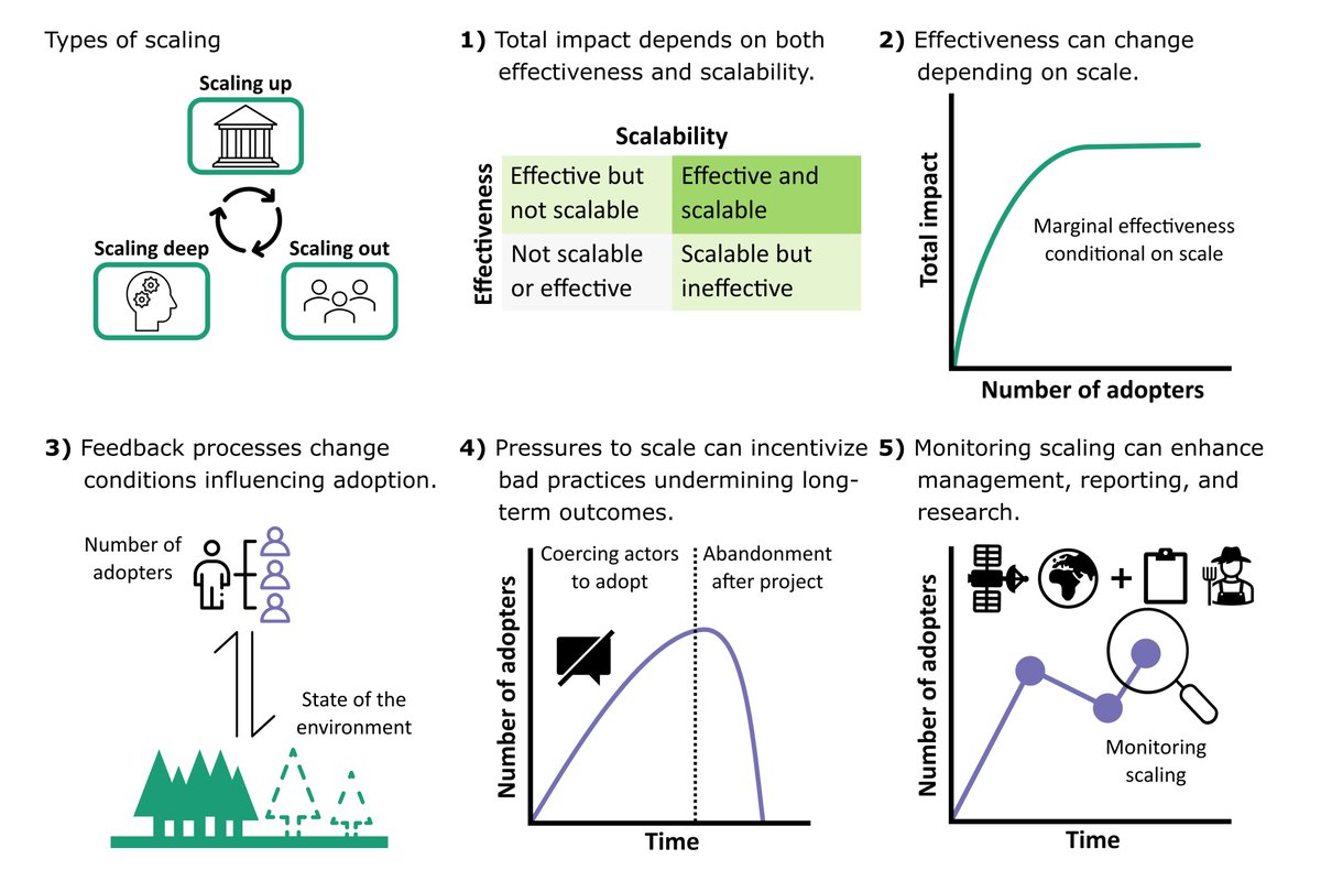 Tom_Pienkowski's tweet photo. 1/ Check out our new @NatureEcoEvo paper: Five lessons for avoiding failure when scaling in conservation (https://t.co/LtZIntbCVo). We ask why it's so hard to deliver conservation impact at scale and explore insights from past efforts @CatalyzCons https://t.co/xOCzPARRxg