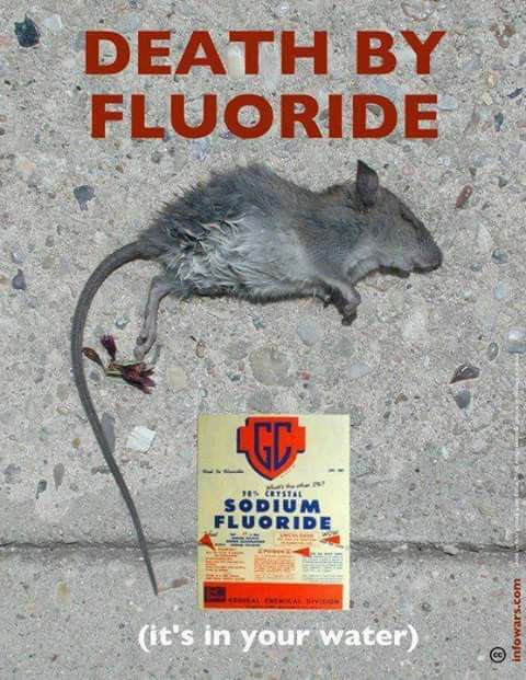 MatrixMysteries's tweet photo. 2. Fluoride is NOT Beneficial for Your Teeth 

- The push for fluoride in water and dental products is a deceptive tactic by the dental and pharmaceutical industries to boost sales and falsely promote oral health.

- Advocating for fluoride allowed these industries to cut costs and avoid proper filtration while misleading the public about its necessity for dental health. The true motive behind fluoride promotion is financial, not health-related.