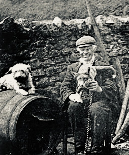 1906 - Tommy Dobson Master of Eskdale and Ennerdale foxhounds until his death in 1910, and his terrier Topsy, with pet fox