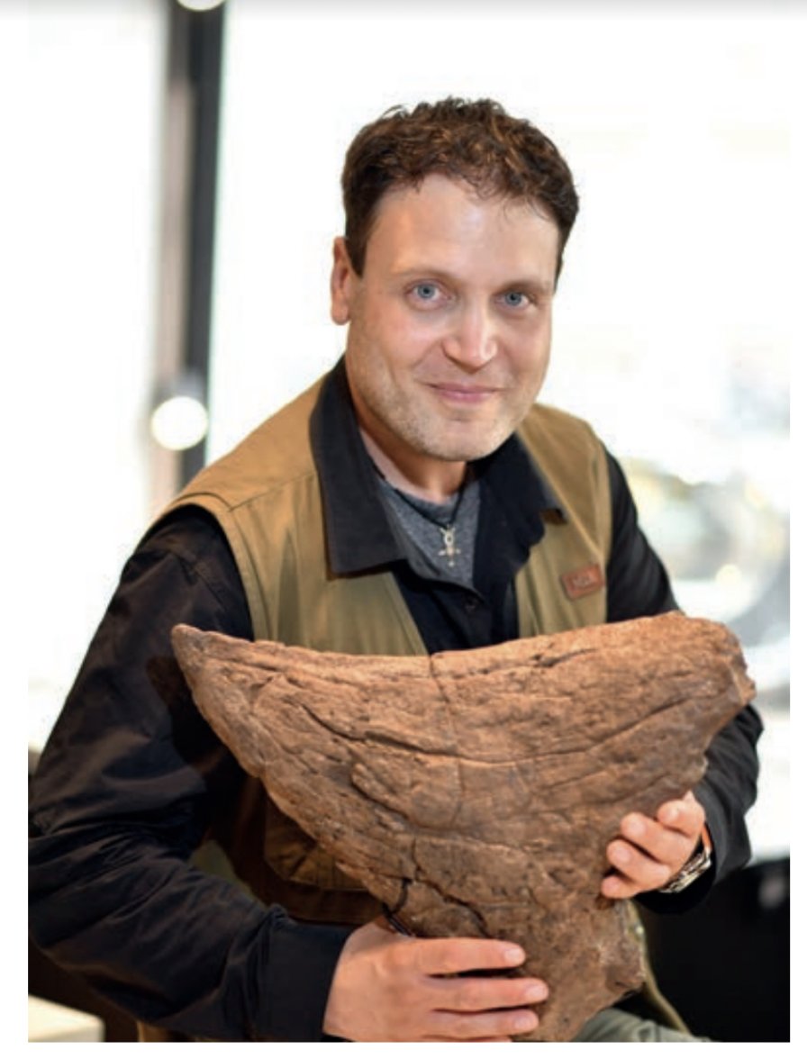 NizarIbrahimPhD's tweet image. T. rex would think twice about attacking this one...
Giant Triceratops nasal horn