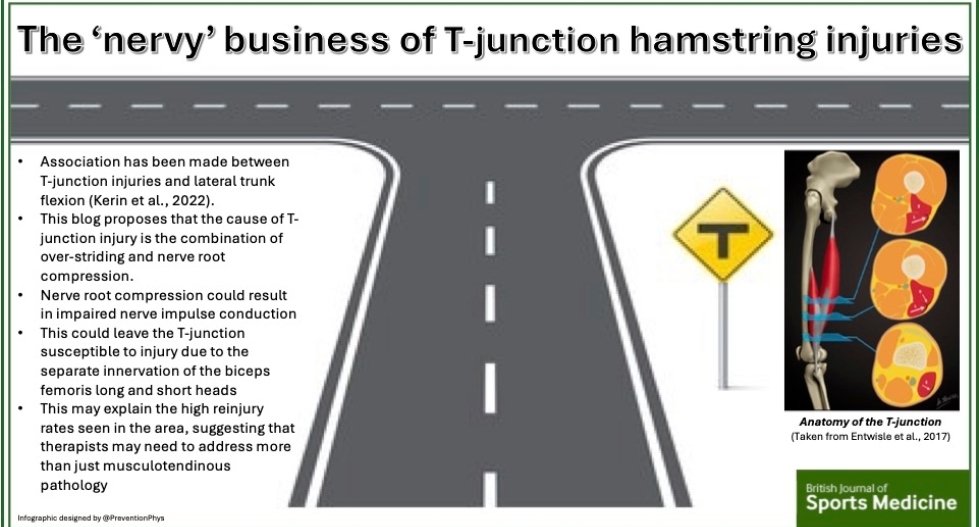 ACPSEM (@physiosinsport) on Twitter photo Biceps Fem injuries at the distal musculotendinous junction problematic: high rate of reinjury around the T-junction suggests there is another potential contributing factor to the injury
Read more in latest <a href="/BJSM_BMJ/">British Journal of Sports Medicine (BJSM)</a> ACPSEM Blog by member <a href="/PreventionPhys/">The Prevention Physio</a>
bit.ly/TJunctionNerve… Biceps Fem injuries at the distal musculotendinous junction problematic: high rate of reinjury around the T-junction suggests there is another potential contributing factor to the injury
Read more in latest <a href="/BJSM_BMJ/">British Journal of Sports Medicine (BJSM)</a> ACPSEM Blog by member <a href="/PreventionPhys/">The Prevention Physio</a>
bit.ly/TJunctionNerve…