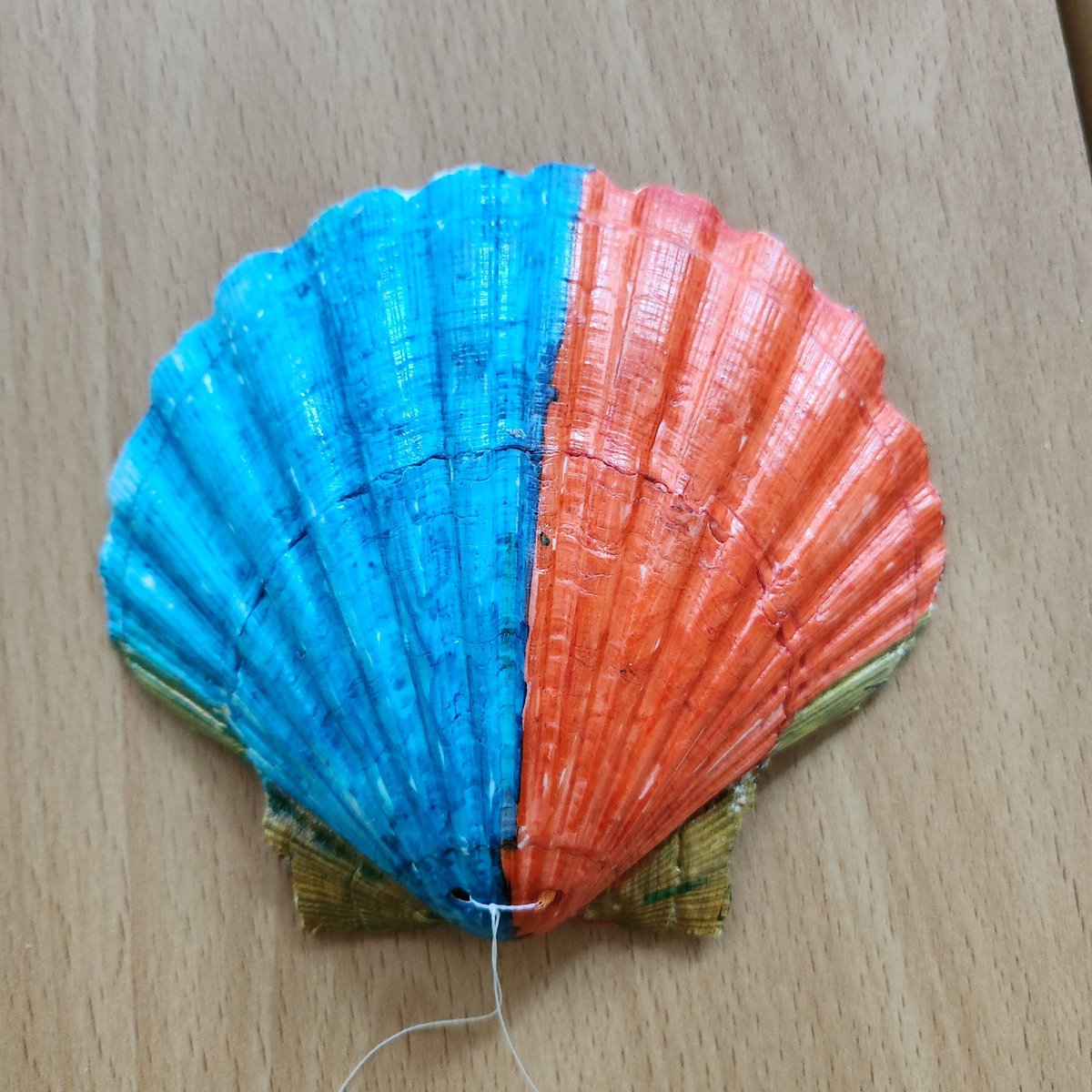 For Clwb Llan’s last session, we decorated Scallop Shells to hide our handmade notebooks underneath.🎨

Using acrylic paint pens and sharpies, these vibrant designs were made!😁

<a href="/ClwbLlan/">Clwb Llan</a>