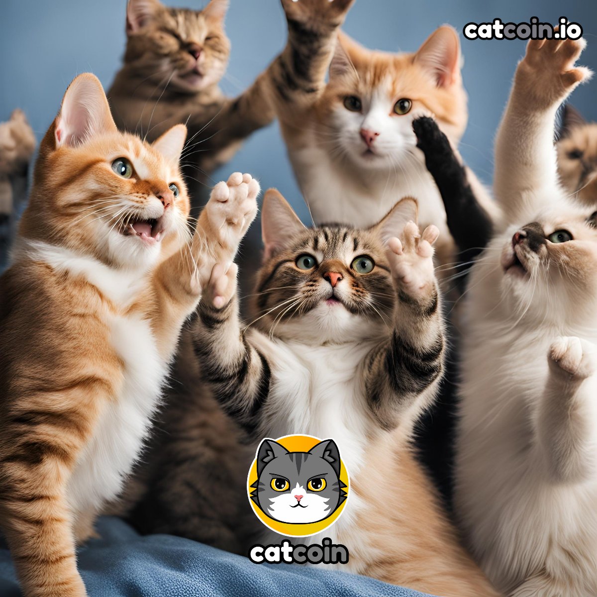 Official Catcoin (@officialcatcoin) on Twitter photo Hello to the weekend. - $20
β’ Follow <a href="/officialcatcoin/">Official Catcoin</a>
β’ Retweet
β’ And comment #Catcoin #USDT #giveaway
48 hours Hello to the weekend. - $20
β’ Follow <a href="/officialcatcoin/">Official Catcoin</a>
β’ Retweet
β’ And comment #Catcoin #USDT #giveaway
48 hours