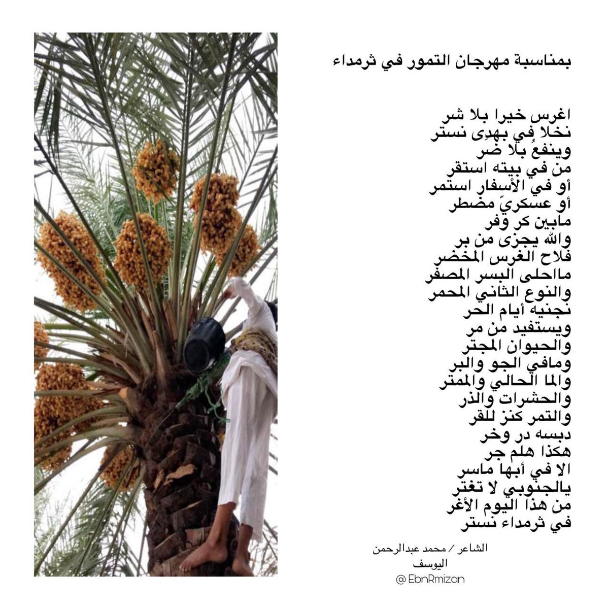 #نخيل #تمور #ثرمداء #مهرجان <a href="/GTharmada/">جمعية ثرمداء الخيرية.</a>