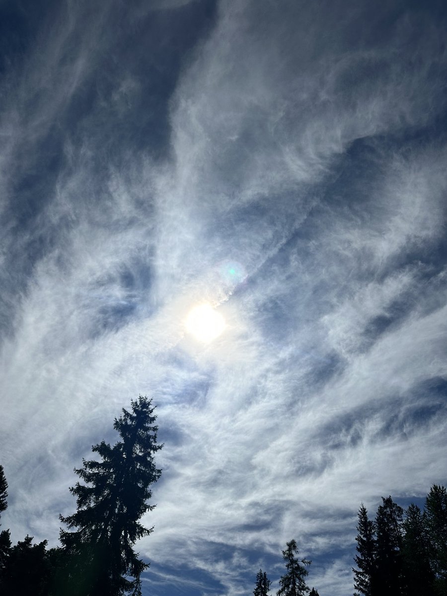 claude21120's tweet image. #cacher le soleil