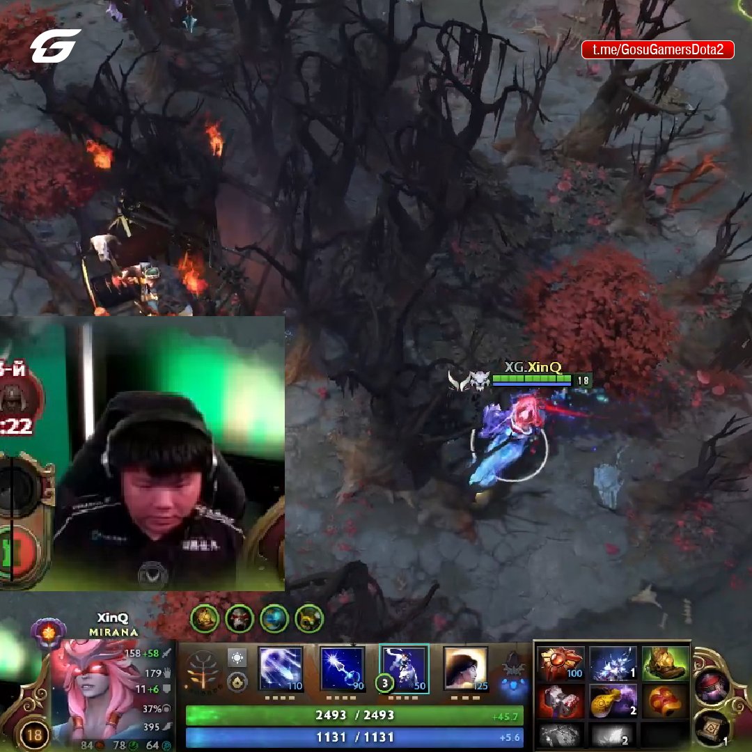 XinQ strikes again 🤣

#Dota2 #TI13