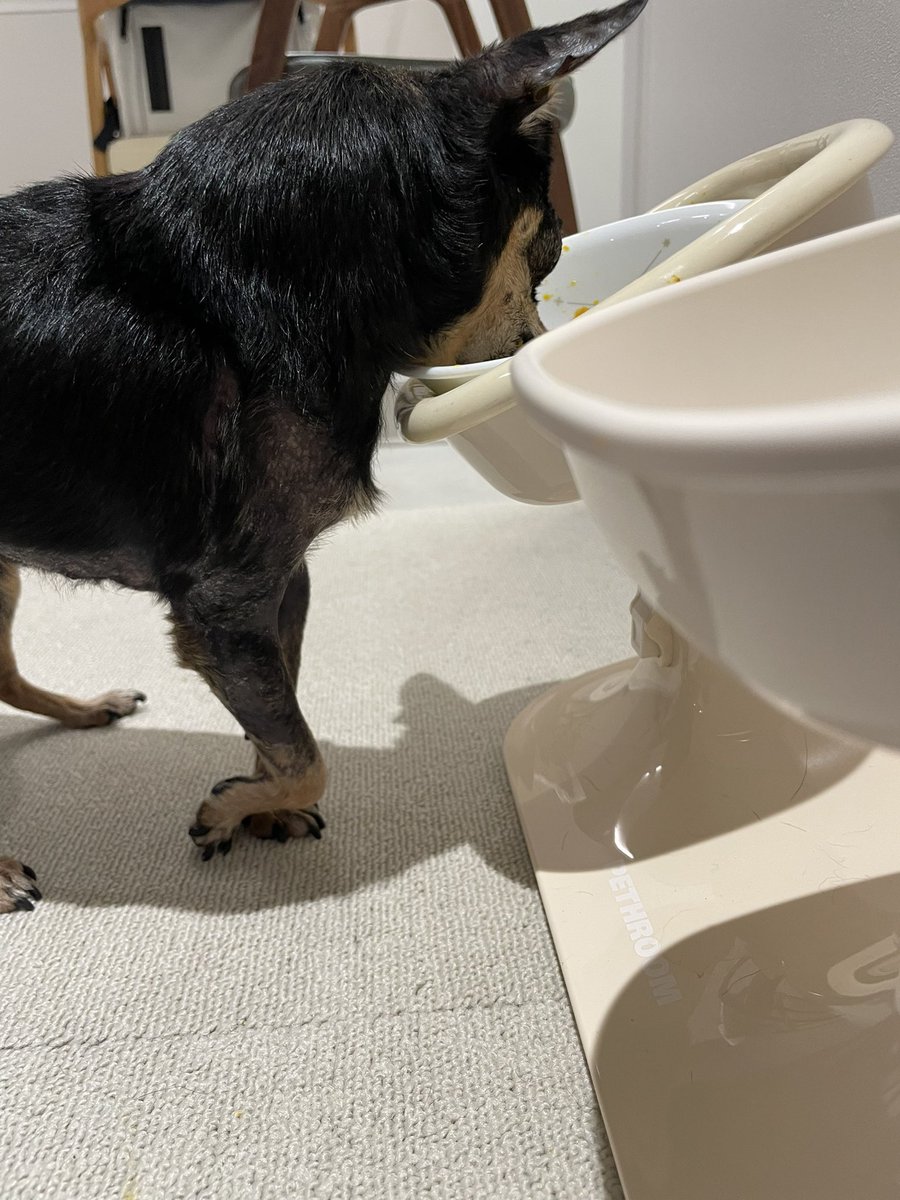 teamDDUDDU0210's tweet image. 밥먹을때 엣지 한스푼