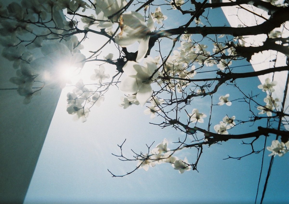 Photoli｜写真撮影に役立つヒント tweet media