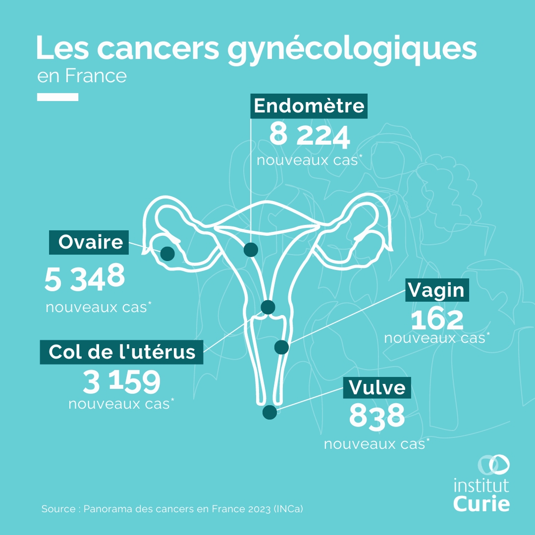 #SeptembreTurquoise | Fort de son expertise, l’Institut Curie, fondateur de l’Institut des Cancers des Femmes avec l’<a href="/psl_univ/">Université PSL</a> et l’<a href="/Inserm/">Inserm</a>, s’investit dans des programmes de recherche ambitieux pour guérir toujours plus de femmes. Pour en savoir plus ⤵️
curie.fr/septembreturqu…