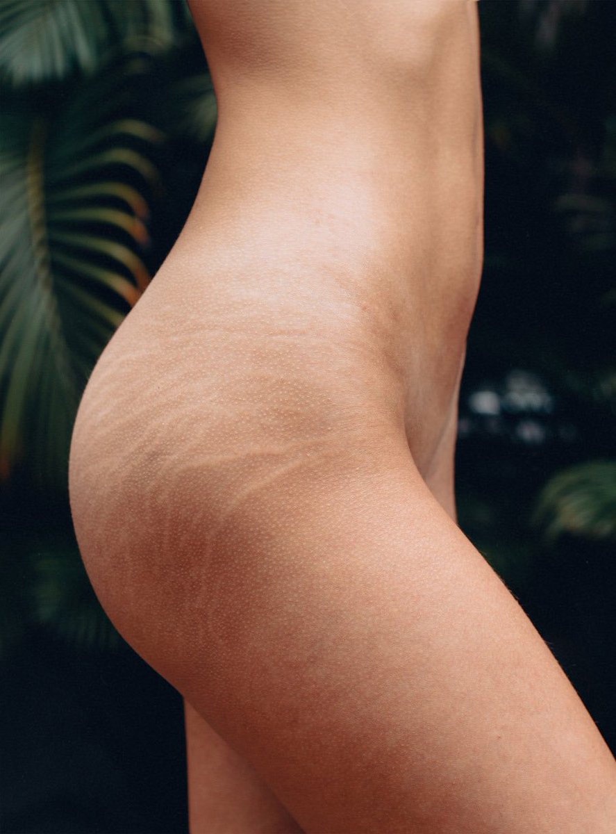 "você tem as ondas do mar tatuadas em sua pele."

"teninde okyanus dalgalarının dövmesi var."