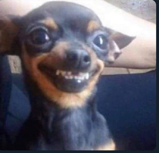 Natty3_LFC's tweet image. Kapena singo tekupe eeround mbali. Oo omunhu ena apa a wilwa nale.