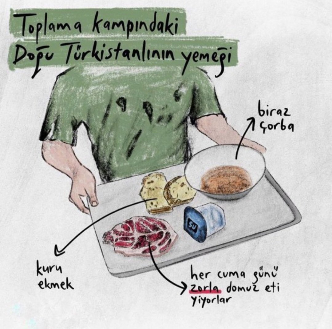 Doğu Türkistan'da soykırım