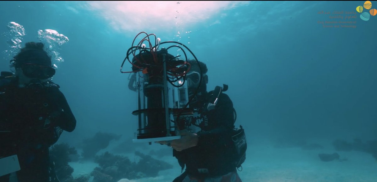 Arab News (@arabnews) on Twitter photo <a href="/KAUST_News/">KAUST</a> #EyeOnAI: “Coral-AI could potentially revolutionize coral reef management practices worldwide,” says <a href="/knsalama/">khaled salama</a> of <a href="/cemseKAUST/">KAUST CEMSE</a>. Read more here. arab.news/ykteq <a href="/KAUST_News/">KAUST</a> #EyeOnAI: “Coral-AI could potentially revolutionize coral reef management practices worldwide,” says <a href="/knsalama/">khaled salama</a> of <a href="/cemseKAUST/">KAUST CEMSE</a>. Read more here. arab.news/ykteq