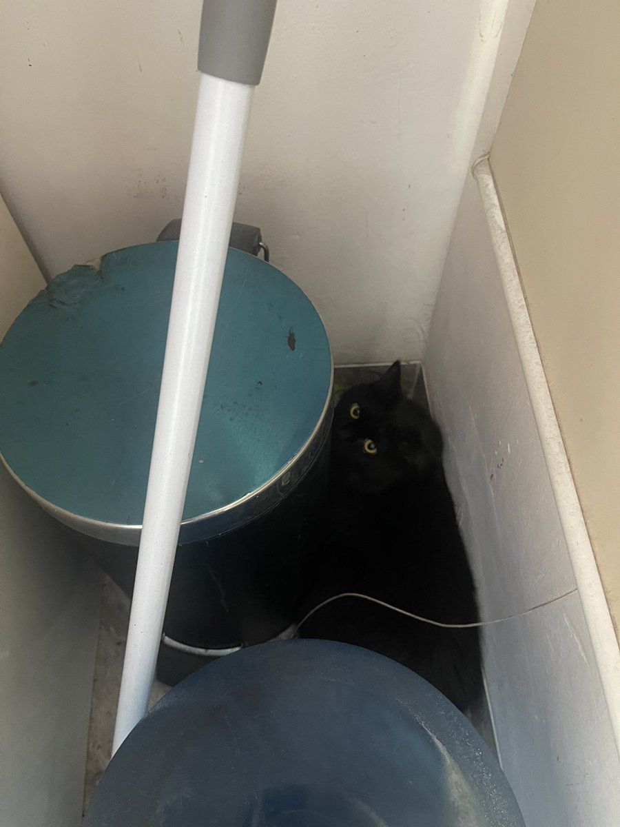 Lengah sedikit strusmi sdh diantara tong sampah🤦🏻