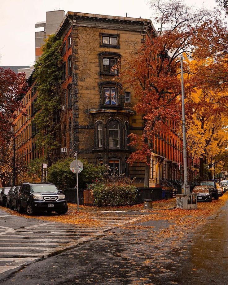 Streets in autumn 🍂