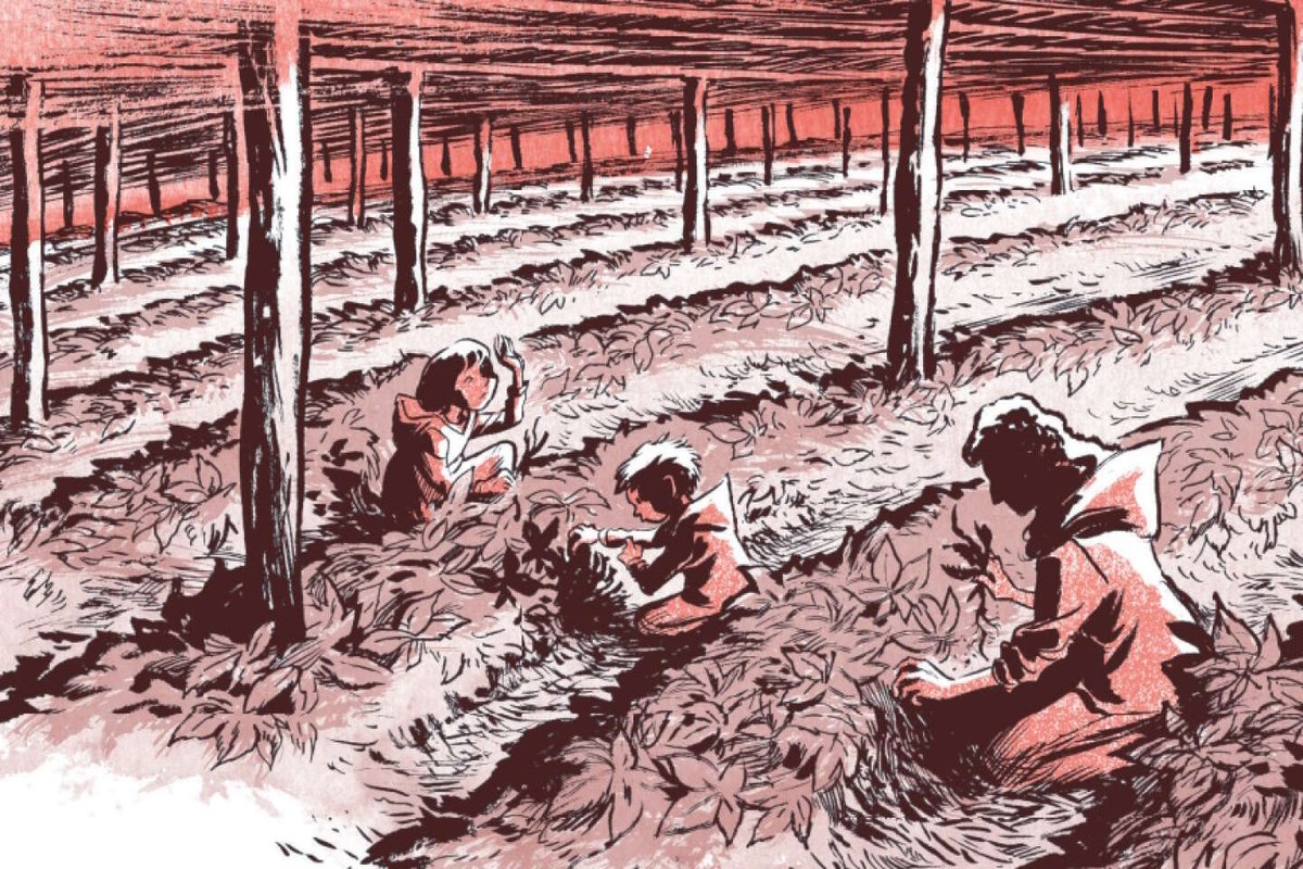 PierreJeanMaure's tweet photo. Nos choix de BD et mangas de la rentrée : « Antipodes », « Walicho », « Ginseng Roots », « Impénétrable »… https://t.co/9js2P8M7vF https://t.co/9CH4ktZzz0