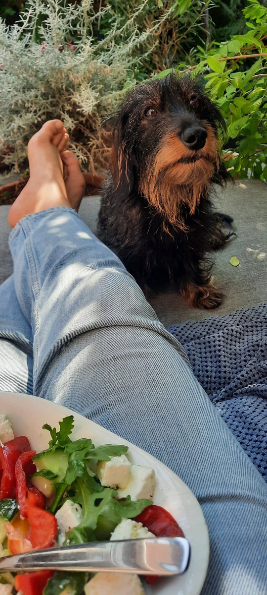 Perks of working from home: lunch in the garden with the best dog