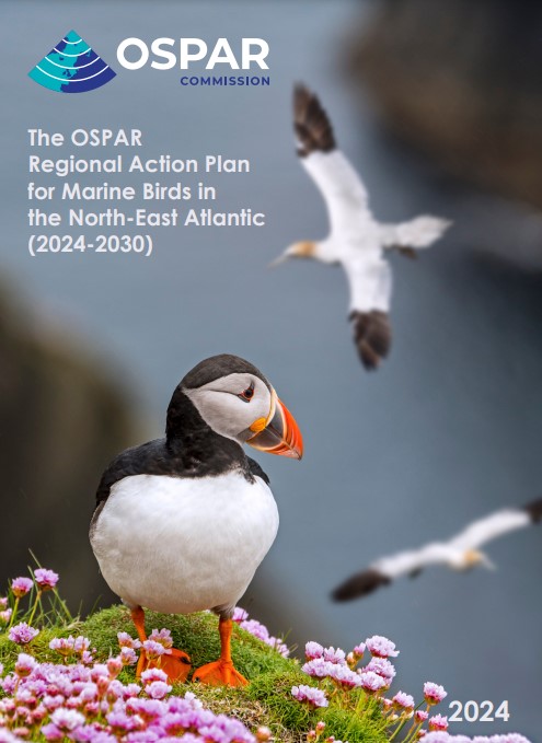 OSPAR (@osparcomm) on Twitter photo Our BIRD ACTION PLAN has been published. This coordinated international action aims to halt decline of marine birds in the North-East Atlantic #OSPARrapbird #OSPARprotects <a href="/VLIZnews/">Flanders Marine Institute - VLIZ</a> <a href="/EU_MARE/">EU Maritime & Fish</a> <a href="/EU_ENV/">EU Environment</a>
<a href="/HELCOMInfo/">HELCOM - the Helsinki Commission</a> <a href="/BirdLife_News/">BirdLife International</a> ospar.org/documents?v=58… Our BIRD ACTION PLAN has been published. This coordinated international action aims to halt decline of marine birds in the North-East Atlantic #OSPARrapbird #OSPARprotects <a href="/VLIZnews/">Flanders Marine Institute - VLIZ</a> <a href="/EU_MARE/">EU Maritime & Fish</a> <a href="/EU_ENV/">EU Environment</a>
<a href="/HELCOMInfo/">HELCOM - the Helsinki Commission</a> <a href="/BirdLife_News/">BirdLife International</a> ospar.org/documents?v=58…