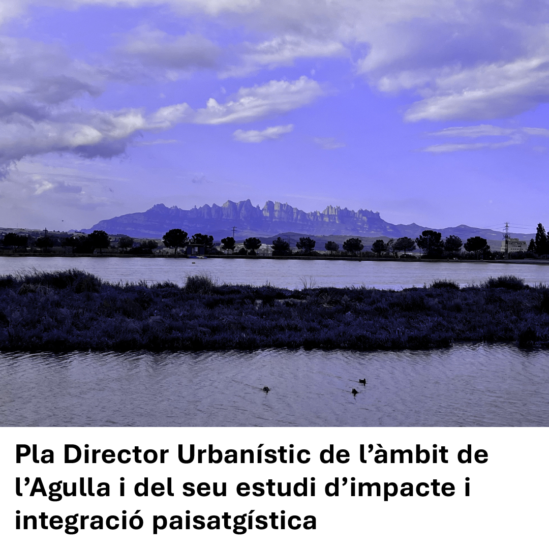 Tornem de vacances amb energia renovada i nous reptes que ens omplen d’il·lusió. Engeguem la redacció del Pla director urbanístic de l’àmbit de l’Agulla juntament amb Xavi Matilla, az medi ambient i paisatge, Clavell Canals Consulting i INSTA Serveis Jurídics completant l’equip.