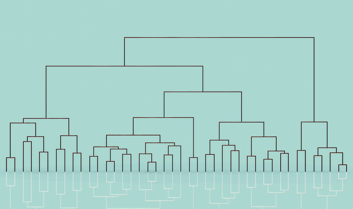 BMC_series's tweet image. #BMCBioinformatics Eukaryotic phylogenetics – Call for Papers: Publish your work alongside related research from your field, for maximum visibility and impact. biomedcentral.com/collections/EP…