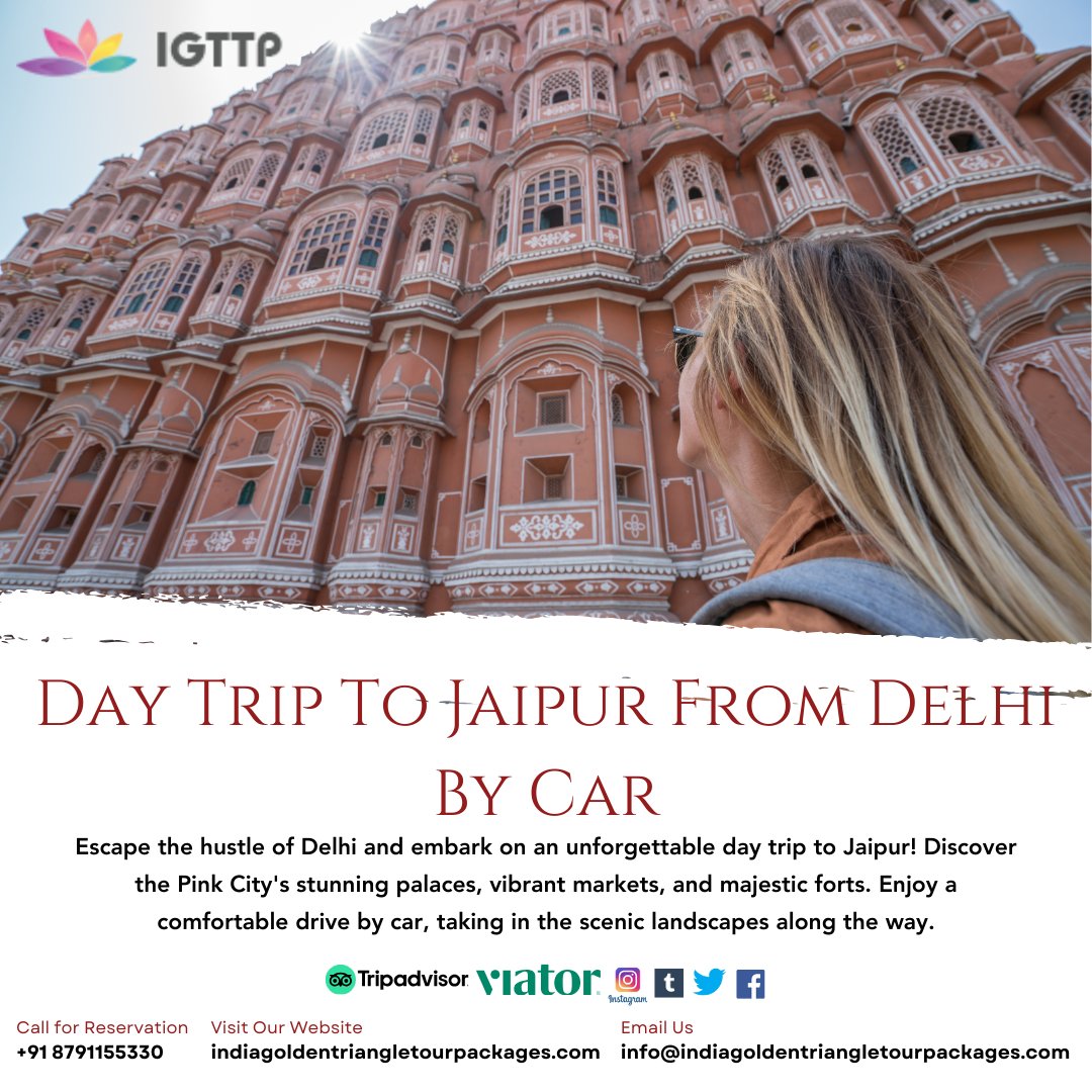TourTriangle's tweet photo. Escape the hustle of Delhi and embark on an unforgettable day trip to Jaipur! Discover the Pink City's stunning palaces, vibrant markets, and majestic forts.
#travelphotography #picoftheday #explorenature #naturephotography #travelblogger #beautiful #landscapephotography #trip https://t.co/T2G6UUJqmX