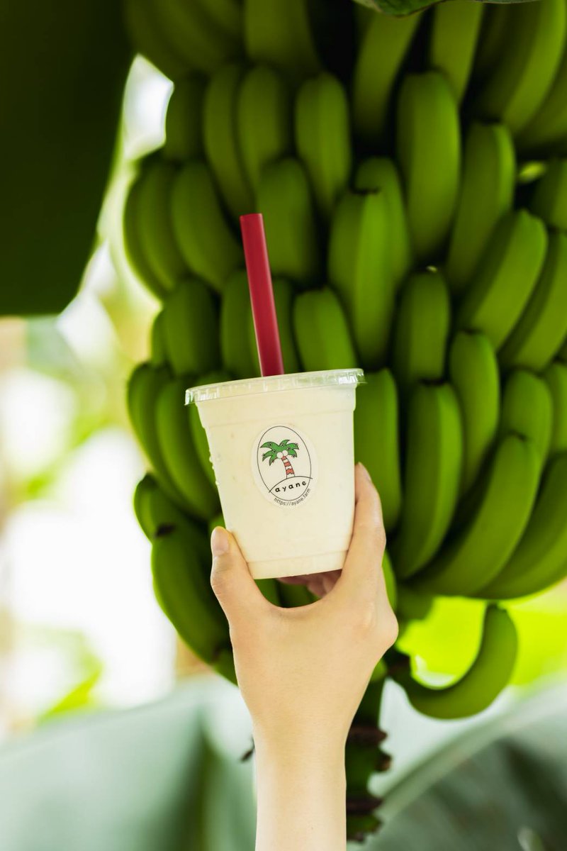 バナナ Buy Fresh Green Plantains Japan - Ecuador Green Plantains