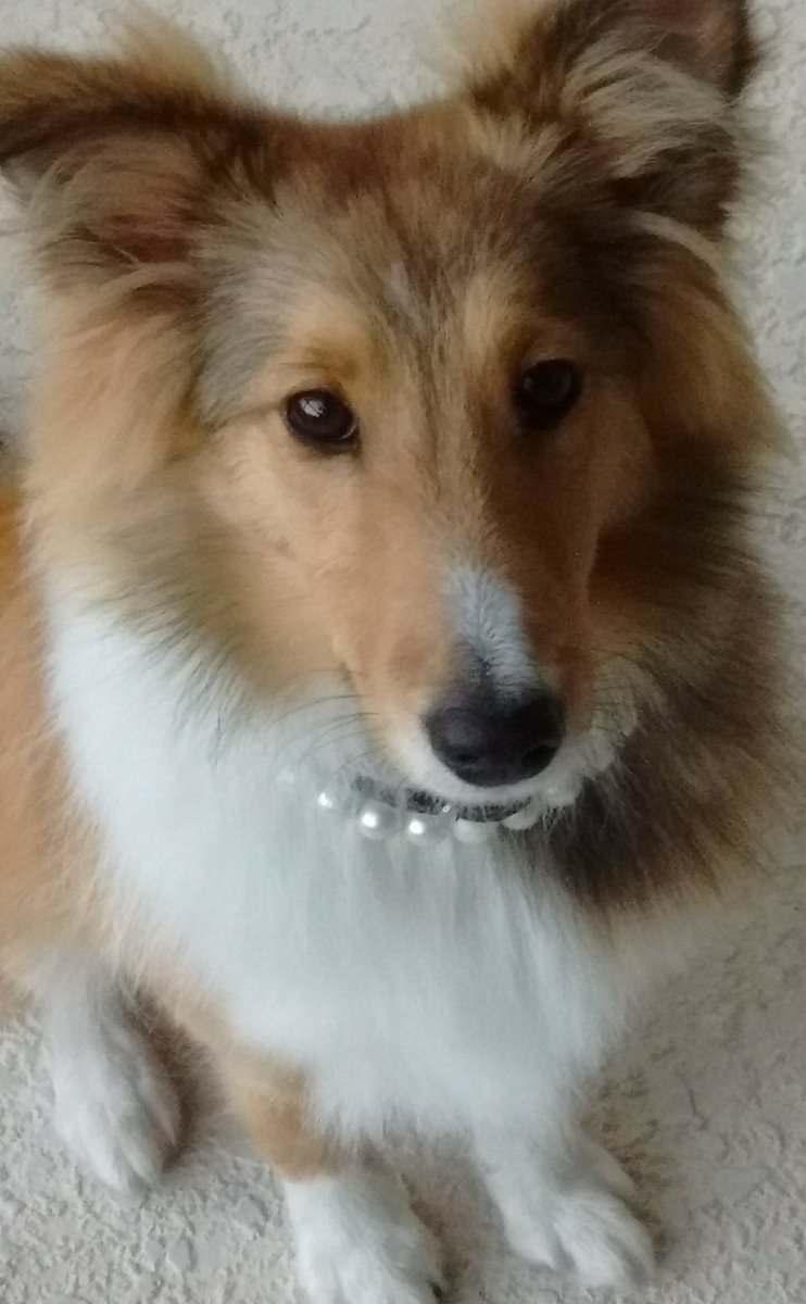Queeney61's tweet image. Aggie says despite the challenges #PrincessCatherine may face, she has no doubt that her strength and resilience will help her overcome anything that comes her way. #Catherine #CatherineTheBeloved #PrincessofWales #CancerWarriorsRule