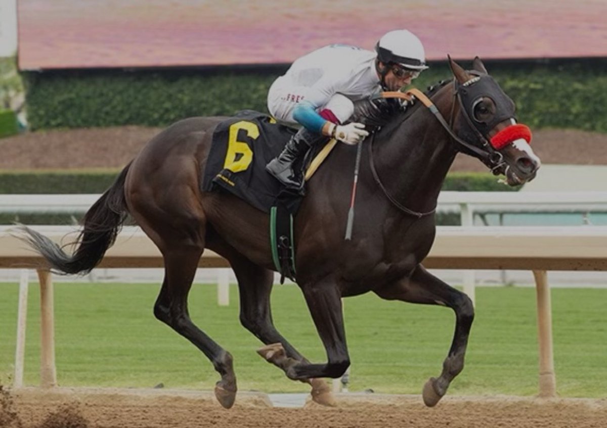 After sustaining and recovering from injury and missing most of his 3 year old year (massive whiff), our boy LOOKS RARE returns to the track this Sunday at Del Mar! 🙌🏻

Last race was a dominant victory but it was 15 months ago. Will he return to form?

#draintheira