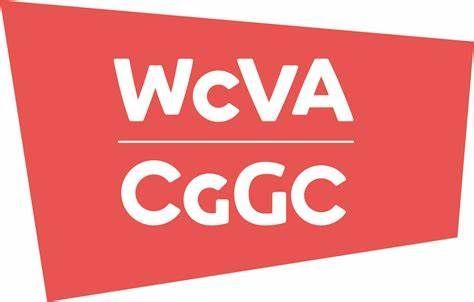 Are you interested in working with the WCVA? They are recruiting a MARINE Fund Cymru Development Manager, to apply or for details please click here! buff.ly/3Xeqi4i #charityjobs #jobswales #swyddi @wcva