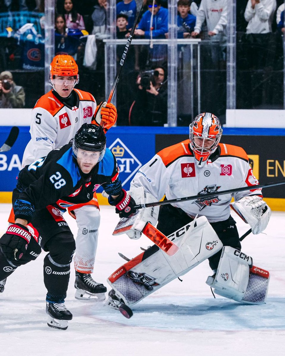 championshockey's tweet photo. Just how good were the @steelershockey last night? 😎

First CHL game in 8️⃣ years and what a performance! 🧡

#ChampionsGoBeyond https://t.co/uzsjQZyeiN