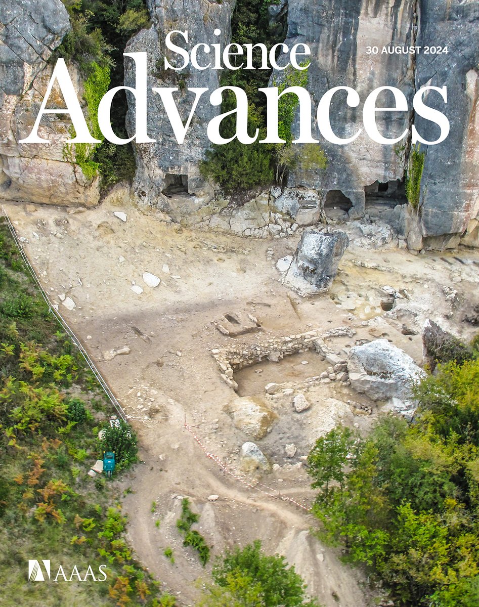 Excited to share the second paper of my PhD, published in @SciAdvances! We made the cover 🏅!  Medieval #smallpox 🦠, #zoonoses 🐷,  #kinship and #ancestry 🧬 from the Las Gobas necropolis in Northern Spain. A thread 🧶! doi.org/10.1126/sciadv… #AncientPathogens #aDNA