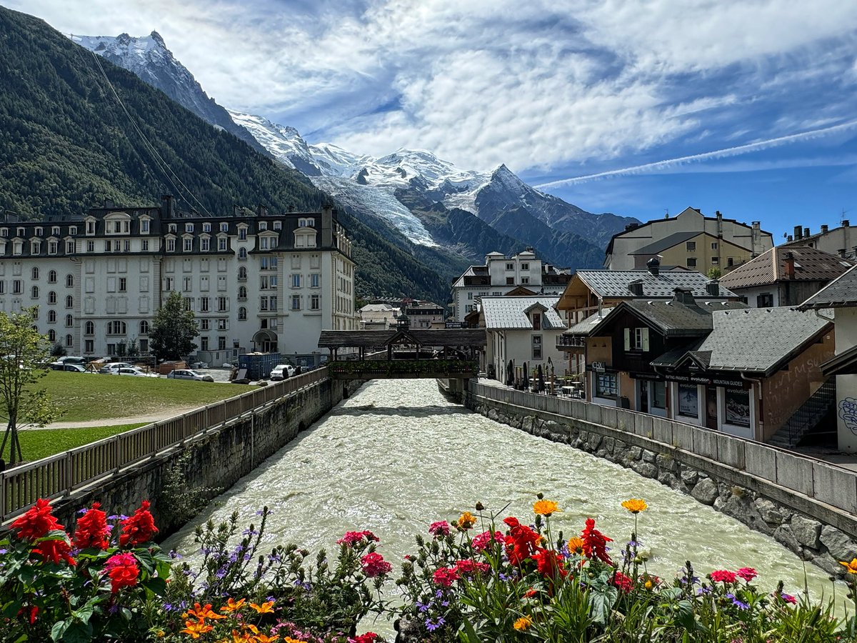 Kaitlyn M. Werner, PhD tweet media