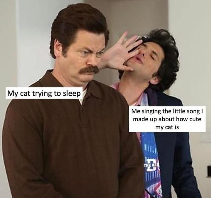 RespectfulMemes's tweet photo. https://t.co/JRD3m6c89Y