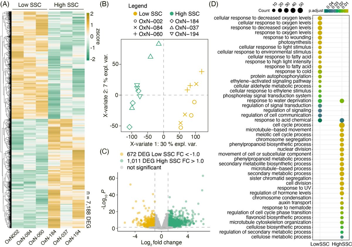 Fruit sugar hub: gene regulatory network associated with soluble solids content (SSC) in Prunus persica dlvr.it/TCvWts