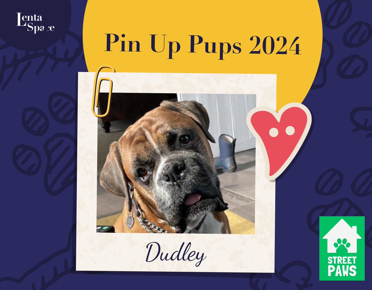 Today's 🐾Pin Up Pups🐾 are Boo, Dudley, Dali

Our thanks go to their human companions for supporting our charity of the year @streetpawsuk who aim to provide free and accessible veterinary care and support services to pets of homeless people in the UK.

#Fundraising #LentaFamily