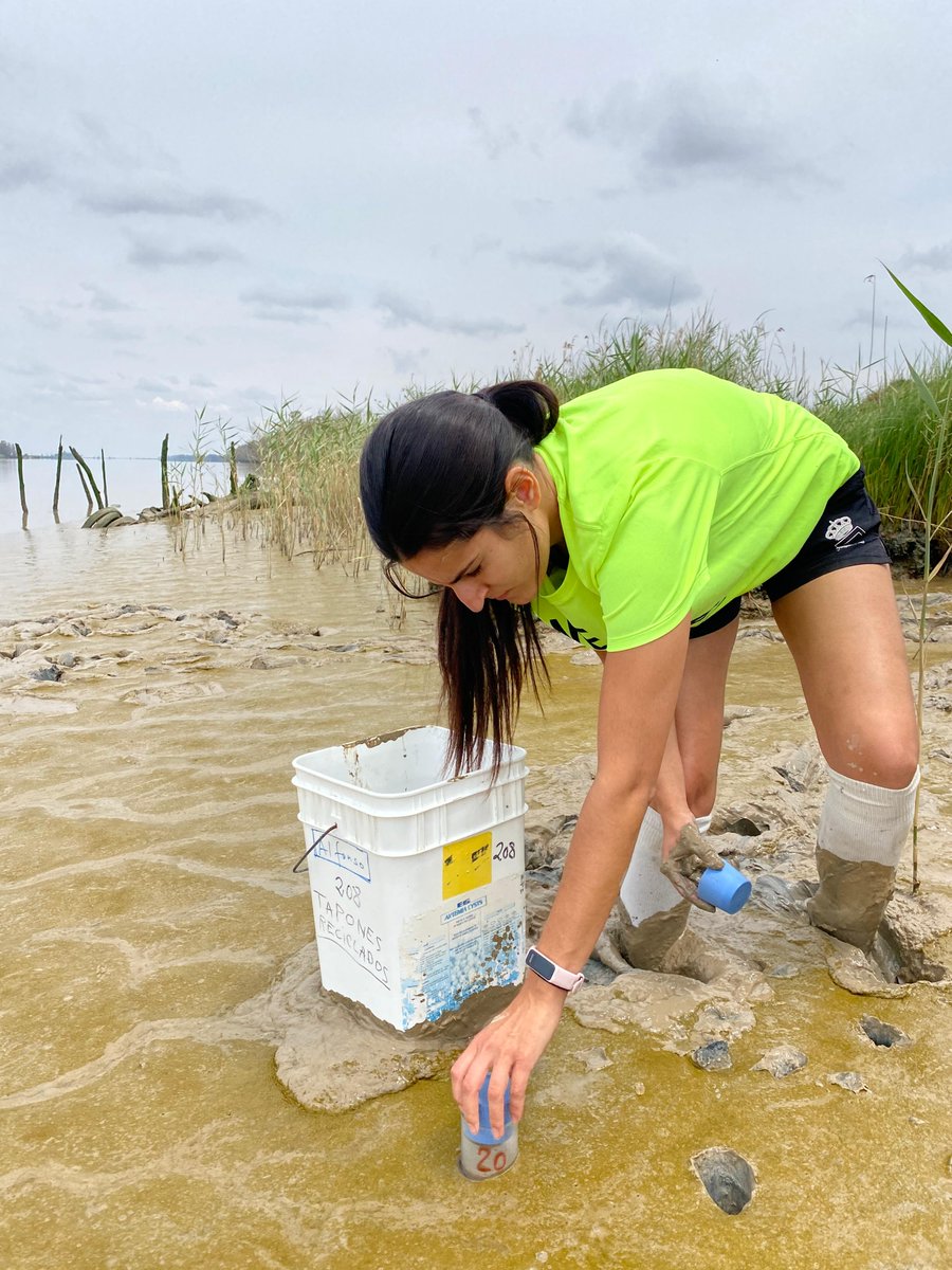 We're kicking off September with a new team member at @IPNA_CSIC! 🎉 We're thrilled to welcome María Borrallo Solís as our new research technician on the #POLIZON project, funded by <a href="/AgEInves/">Agencia Estatal de Investigación</a>  #ConsolidacionInvestigadora2023  IP: <a href="/Pau_Arribas/">Paula Arribas</a>