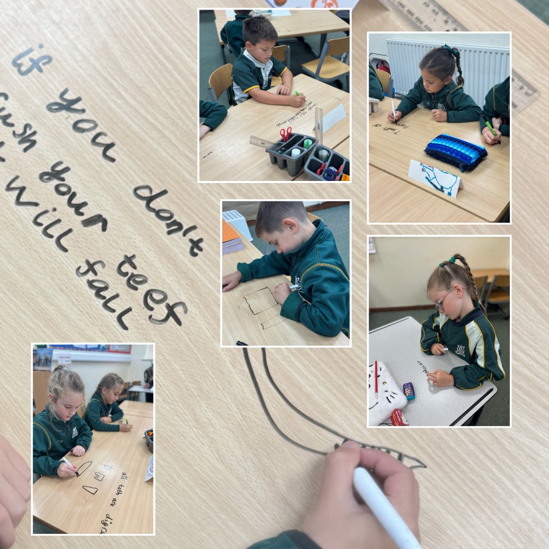 Edgeborough School tweet media